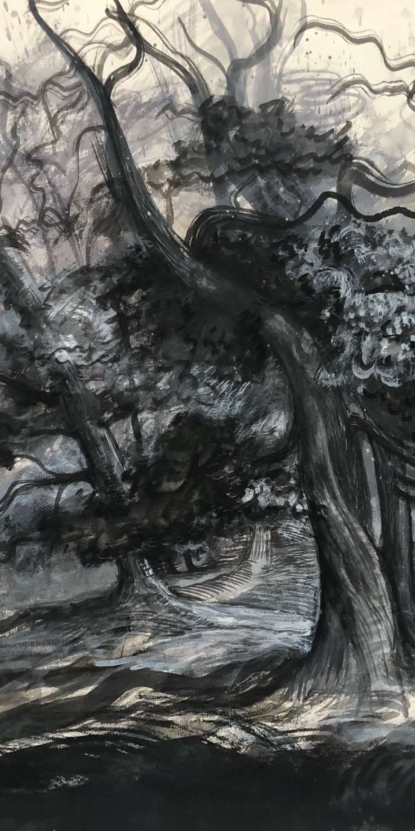 black and white trees by a pond