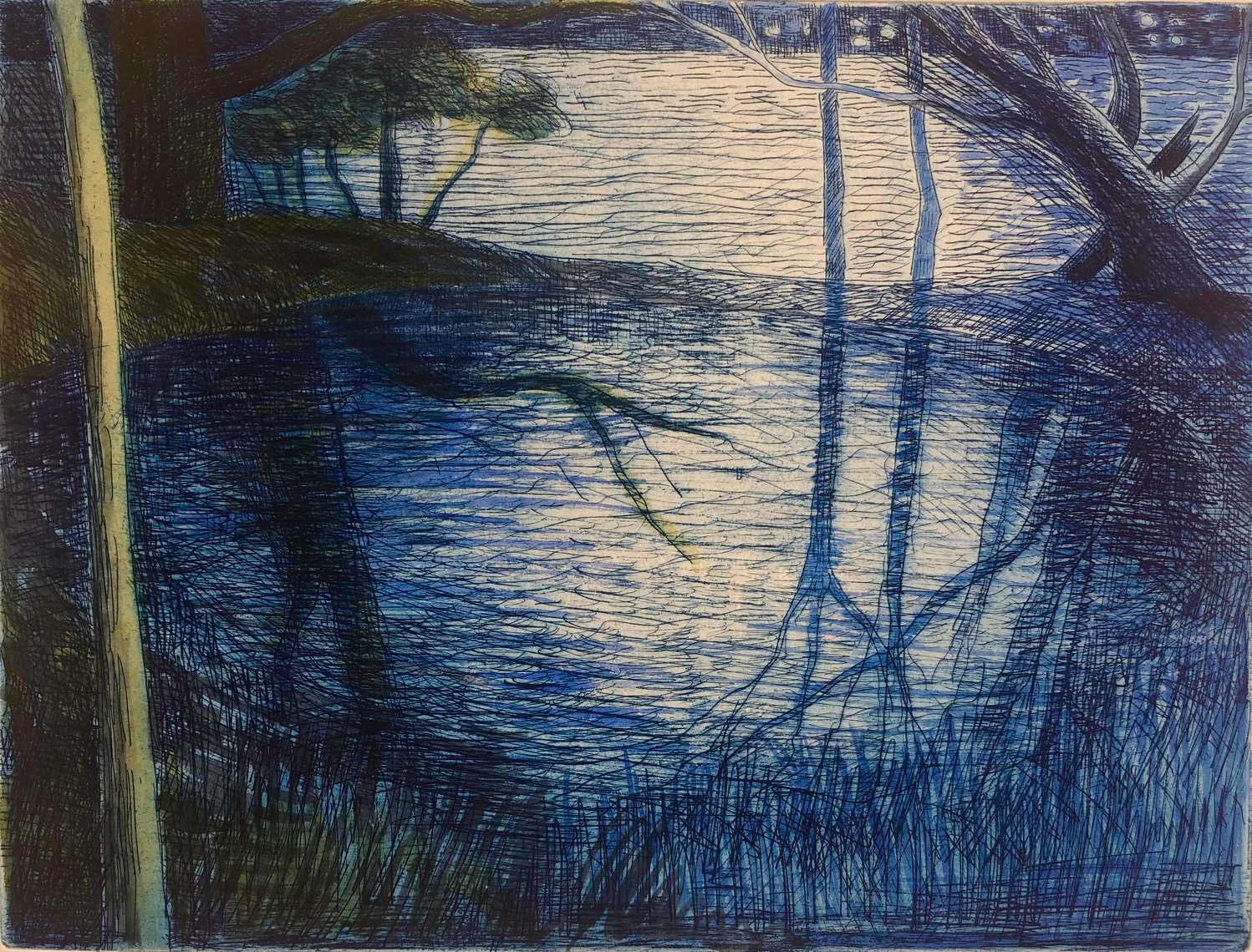 evening  pond reflection trees