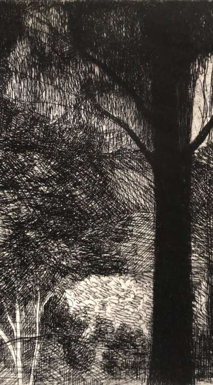 forest etching